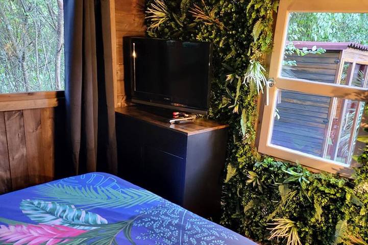 Gîte pour 5 personnes, avec jardin et jacuzzi ainsi que sauna et terrasse, animaux acceptés à Saint-Jean-du-Pin - 3