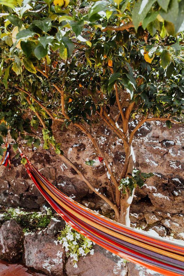 Maison d’hôte pour 2 personnes, avec jardin et terrasse dans Ischia - 3