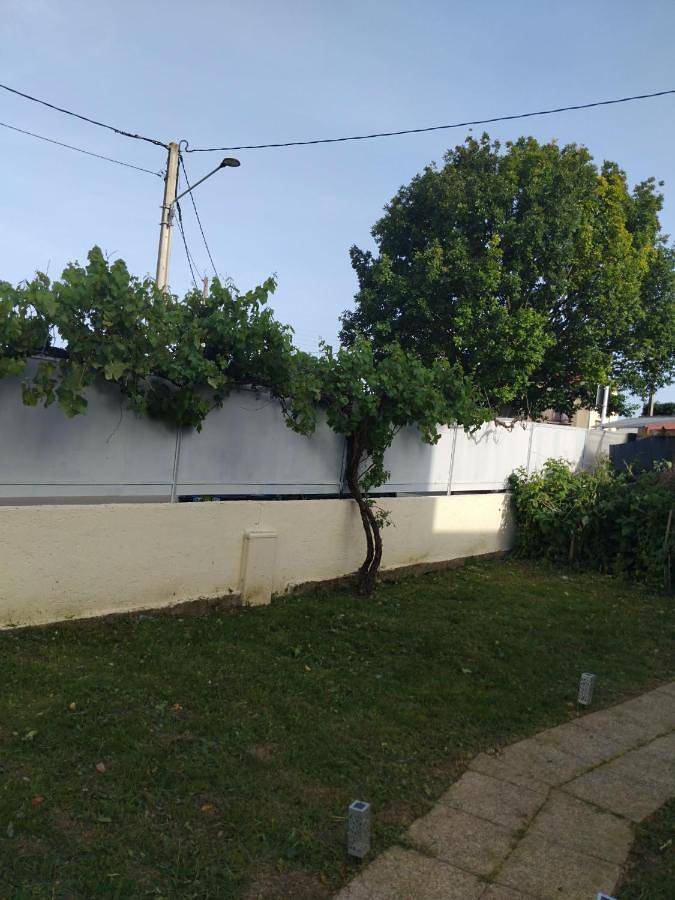 Gîte pour 6 personnes, avec Terrasse et Jardin dans Aéroport d'Orly - 2