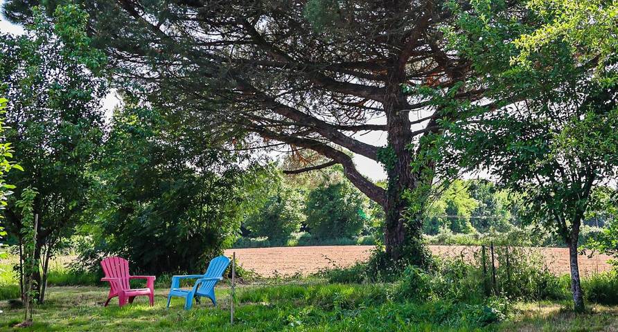 Location de vacances pour 2 personnes, avec jardin à La Forêt-sur-Sèvre - 4