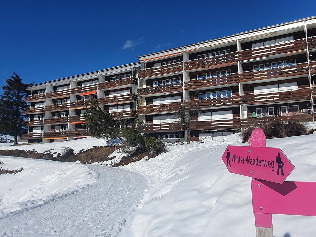 Ganze Ferienwohnung, Haus Viols 54 - 3-Zimmerwohnung - 4 Betten in Surses, Albula