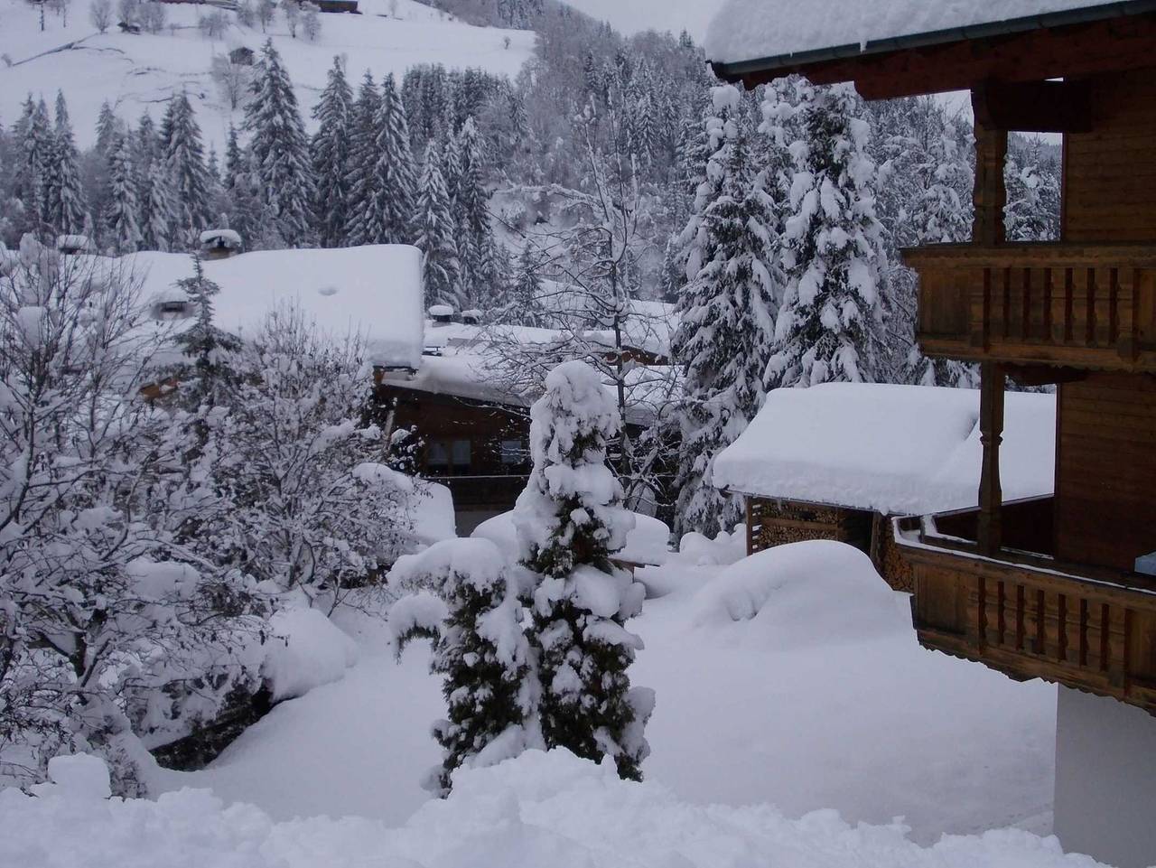 Ganze Ferienwohnung, Haus Luxer - Typ A 1 in Wildschönau, Kitzbüheler Alpen