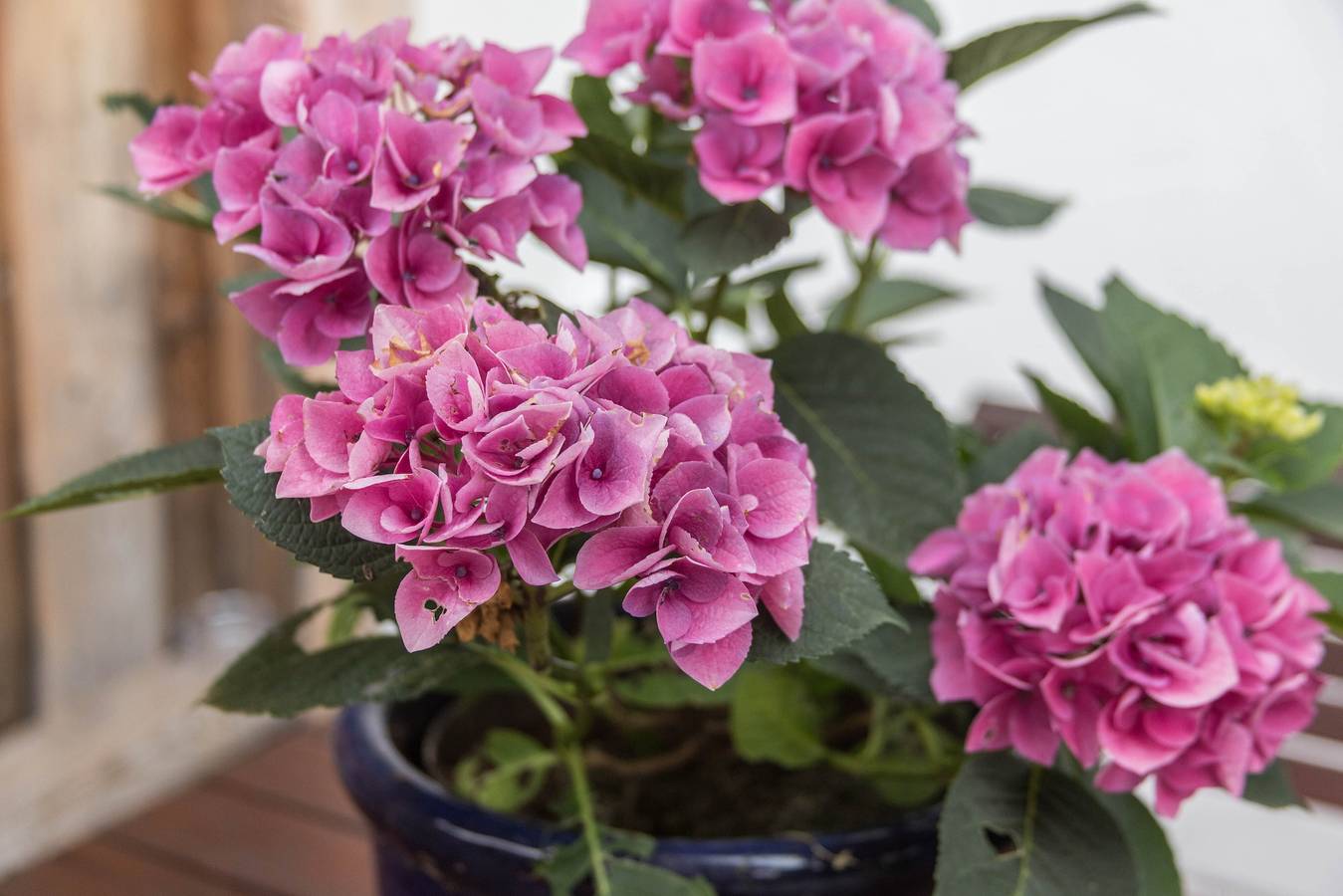 Vacation Home "Zuhaus am See" with Mountain View, Sauna, Wi-Fi and Garden in Gollenshausen am Chiemsee, Gstadt am Chiemsee