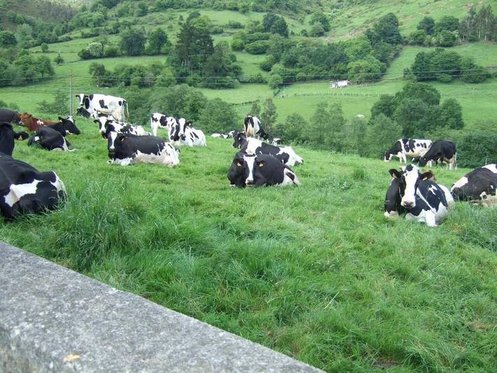 Casa rural para 5 personas, con terraza además de jardín y vistas en Sariego - 3