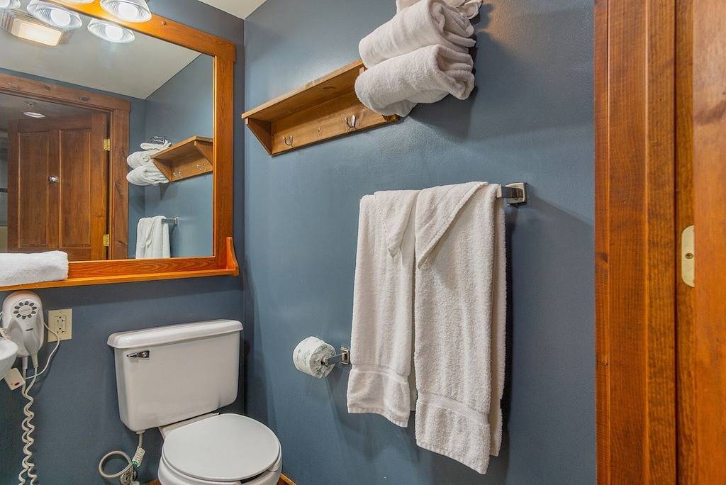 Ganze Wohnung, Rimfire 258 Studio - Access to Slope Cozy One Bed and Sofa Sleeper in Snowshoe, Greenbrier River