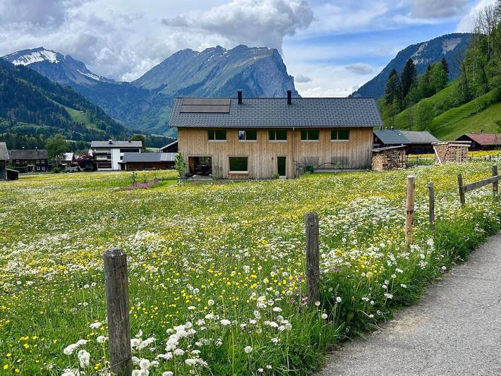 Ferienwohnung für 4 Personen, mit Balkon und Garten sowie Ausblick in Schoppernau - 2