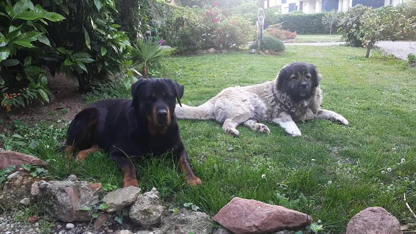 Chambre d’hôte pour 3 personnes, avec jardin, adapté aux familles à Varèse - 3