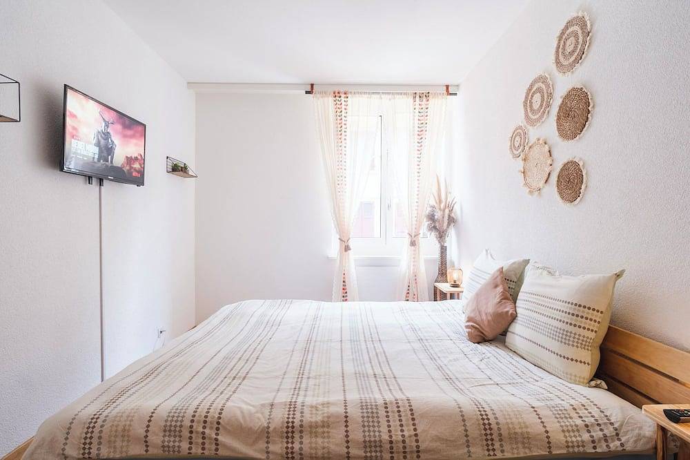 Entire apartment, City central comfort in Lausanne, Lake Geneva