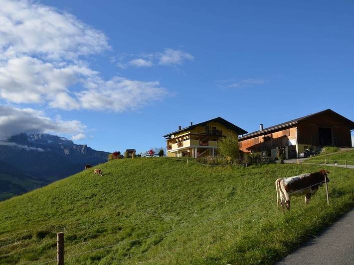 Ferienhaus für 6 Personen, mit Balkon und Garten in Bischofshofen - 3