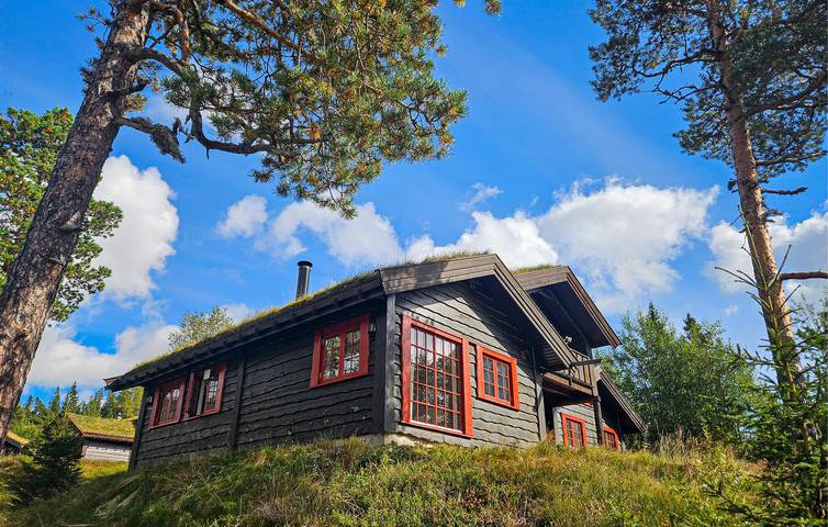 Ferienhaus für 13 Personen mit Sauna in Norefjell, Sigdal