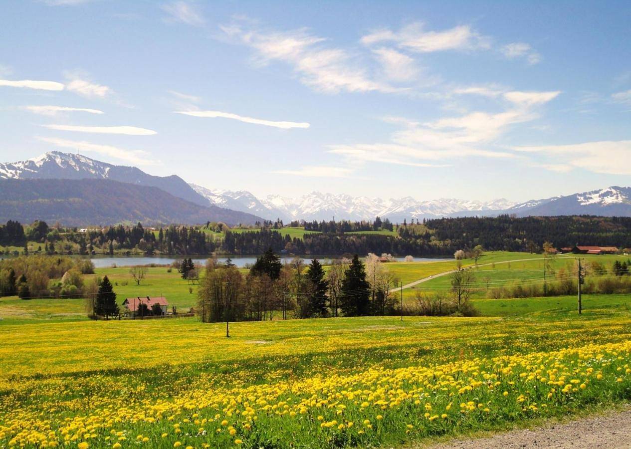 Ganze Wohnung, Ferienwohnung Heimatliebe in Waltenhofen, Bayerisch Schwaben