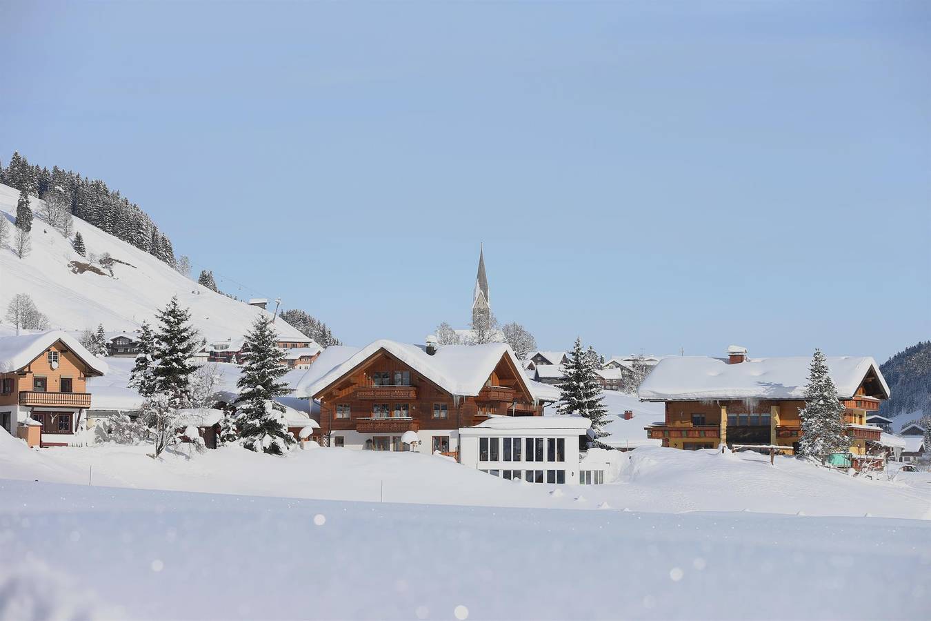 Geheel vakantieappartement, Apartment/1 Schlafraum/Dusche, Wc Top 2 in Mittelberg, Kleinwalsertal