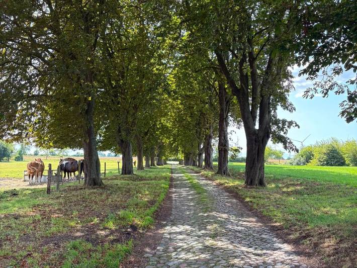 Ganze Ferienwohnung, Ferienwohnung Kuscheleck in Mistorf, Mecklenburgische Seenplatte