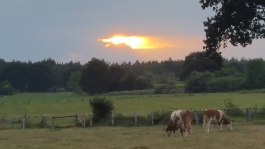 Ferienwohnung für 2 Personen in Naturpark Aukrug - 2