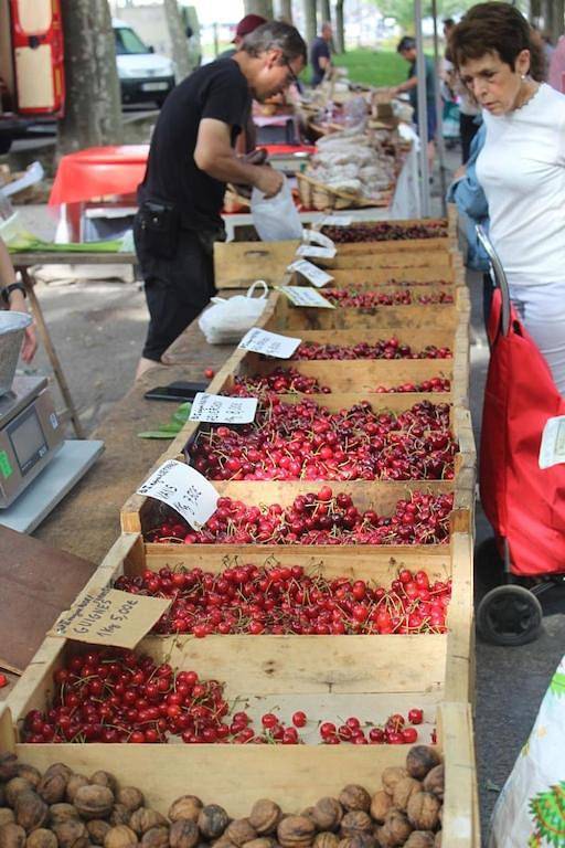 Location de vacances pour 6 personnes, avec piscine ainsi que terrasse et jardin à Olonzac - 3