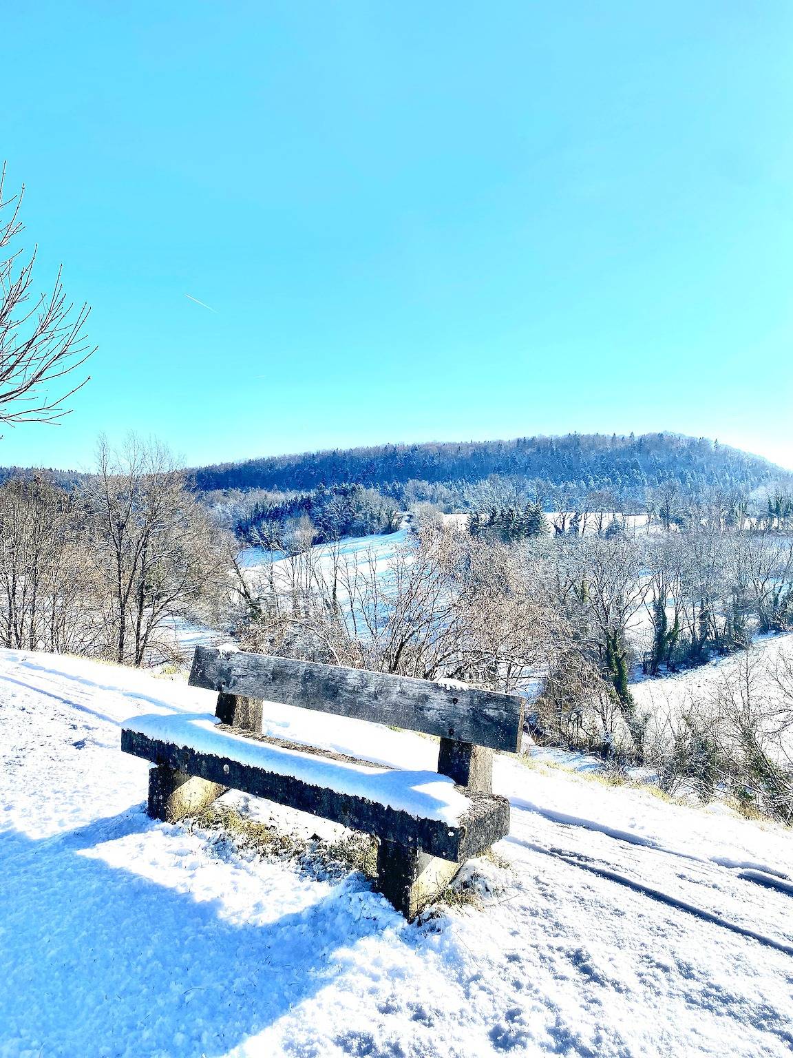 Chalet « Des Lacs » avec piscine privée, terrasse privée et Wi-Fi in Marigny (Jura), Jura