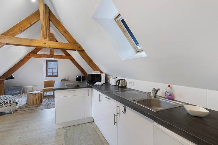 Entire apartment, Charming Little Loft – Wifi, Air Conditioning, Walk to Historic Center in Sarlat-la-Canéda, Périgord Noir