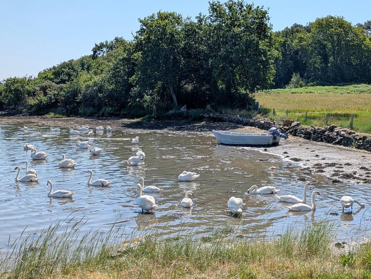 Ty Bayon in Belz, Côte des Mégalithes