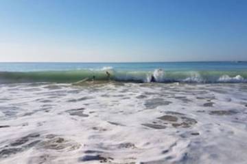 Location de vacances pour 5 personnes, avec piscine et terrasse, animaux acceptés à Saint-Clément-des-Baleines