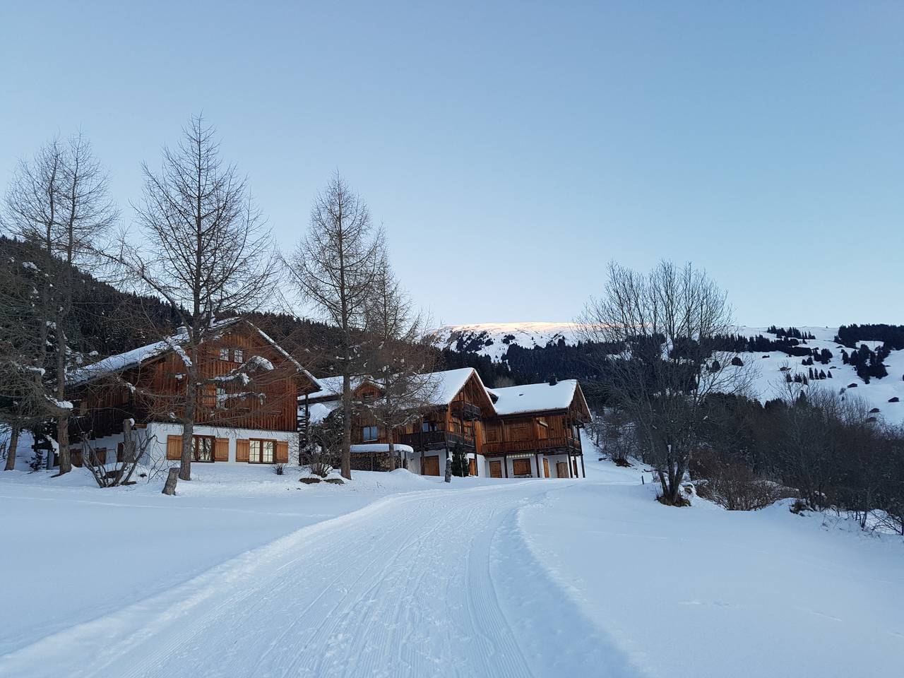 Ganze Ferienwohnung, Ferienhaus Casa Seglias, Brigels - 6 Zimmer Ferienhaus für max. 8 Pers. in Brigels, Alpenarena