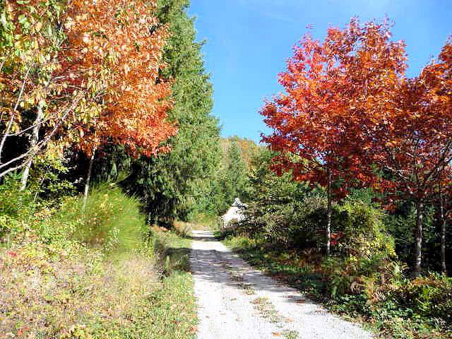 Mas des Vignes in Mouret (Aveyron), Aveyron