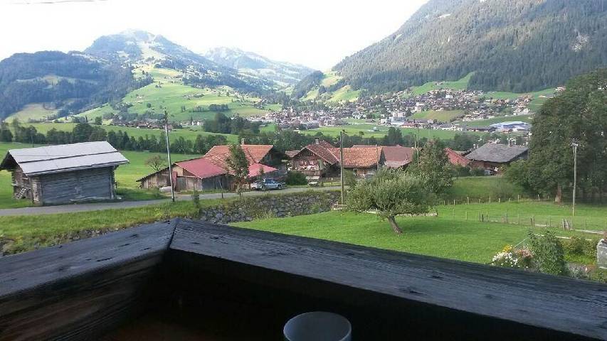 Ferienwohnung für 3 Personen, mit Garten und Terrasse, mit Haustier im Berner Oberland - 3