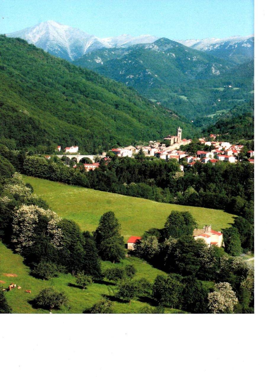 Ganze Wohnung, Studio with Garden in Prats-de-Mollo-la-Preste, Céret und Umgebung