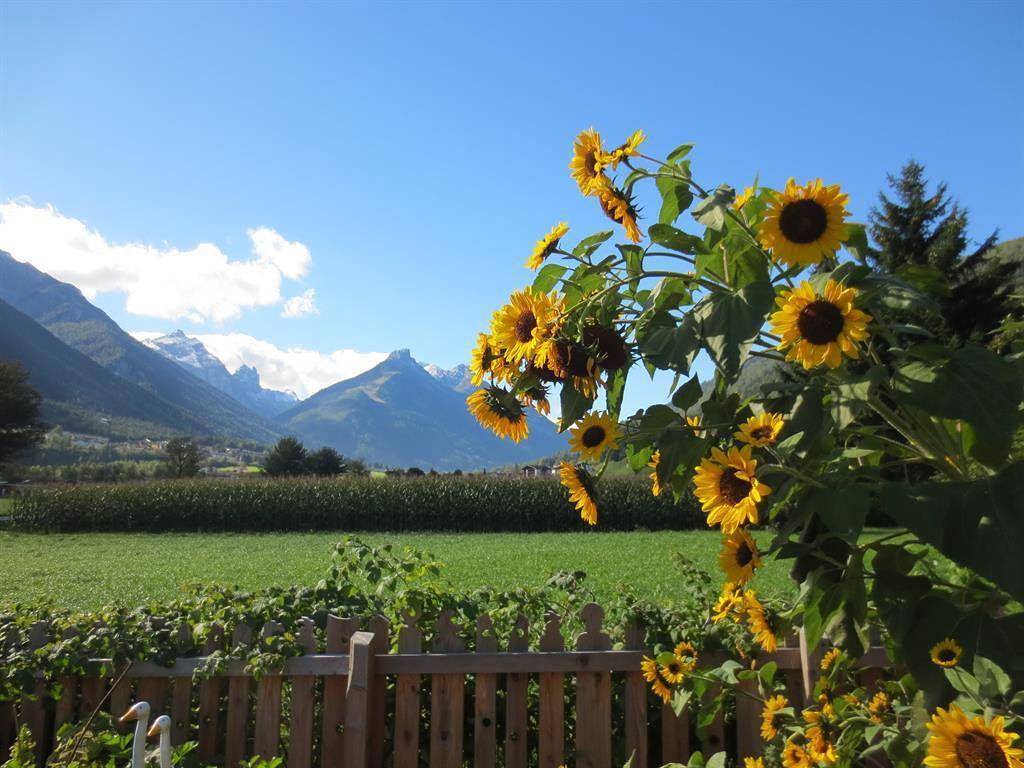 Feldhof in Fulpmes, Innsbruck und Umgebung
