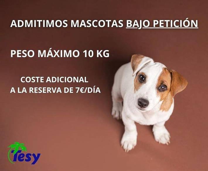 Gîte pour 6 personnes, avec piscine et jardin dans La Manga del Mar Menor - 2