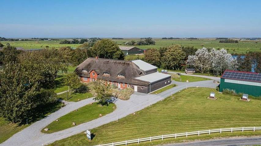 Ferienhaus für 24 Personen, mit Garten und Sauna, mit Haustier in Tating - 3
