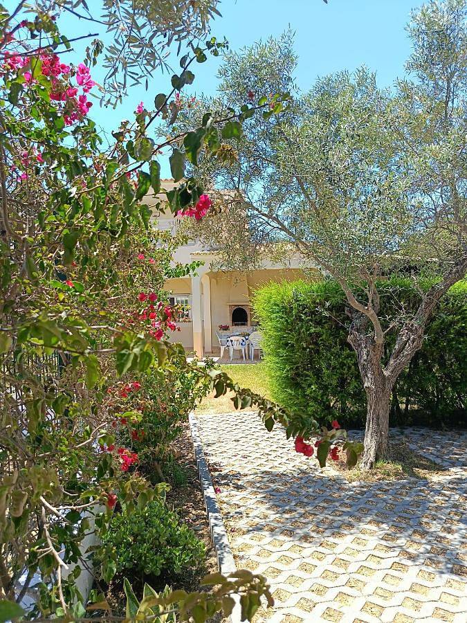 Casa das Oliveiras - piscina privada, jardim, perto da praia in Moncarapacho, Ria Formosa