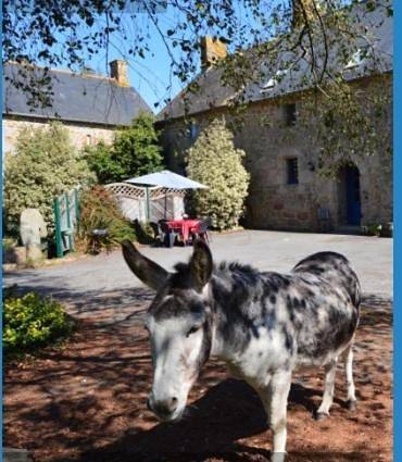 Location de vacances pour 6 personnes, avec jardin et vue, animaux acceptés à Parigné - 2