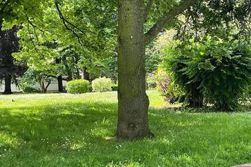 Gîte pour 3 personnes, animaux acceptés à Chennevières-sur-Marne