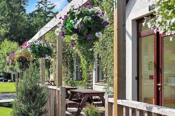Cottage for 3 People in Pitlochry, Cairngorms National Park, Photo 3