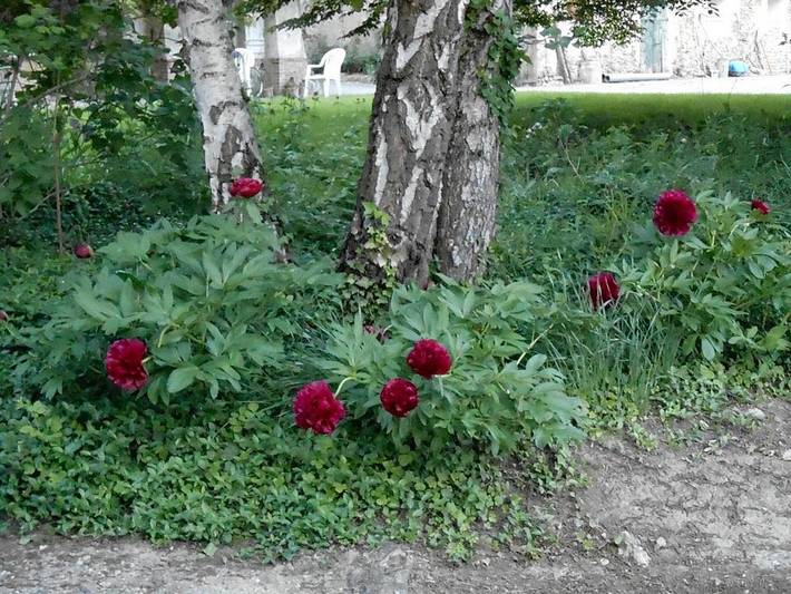 Location de vacances pour 2 personnes, avec jardin dans Île de France - 4