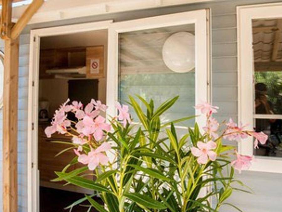 Camping La Brise - Mobilhome 2 personnes - 19m² 1Chambre in Saintes-Maries-de-la-Mer, Côte méditerranéenne (France)