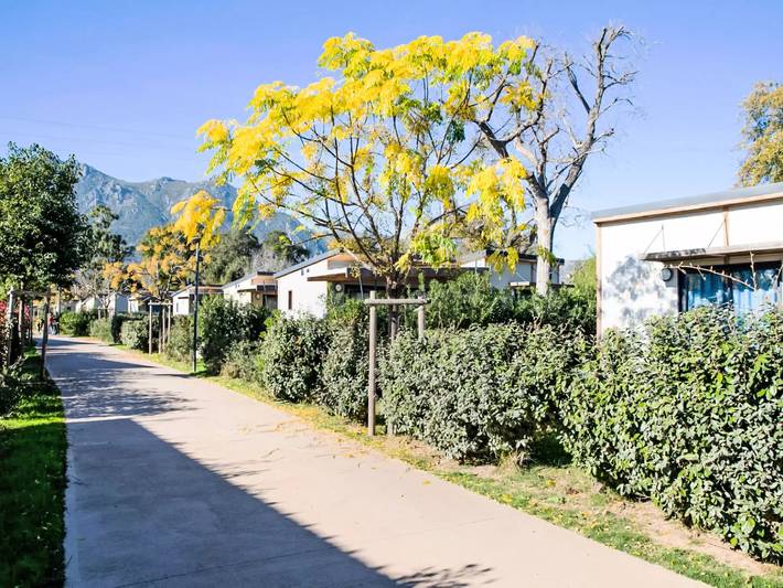 Location de vacances pour 5 personnes, avec jardin et piscine à Santa-Maria-Poggio - 4