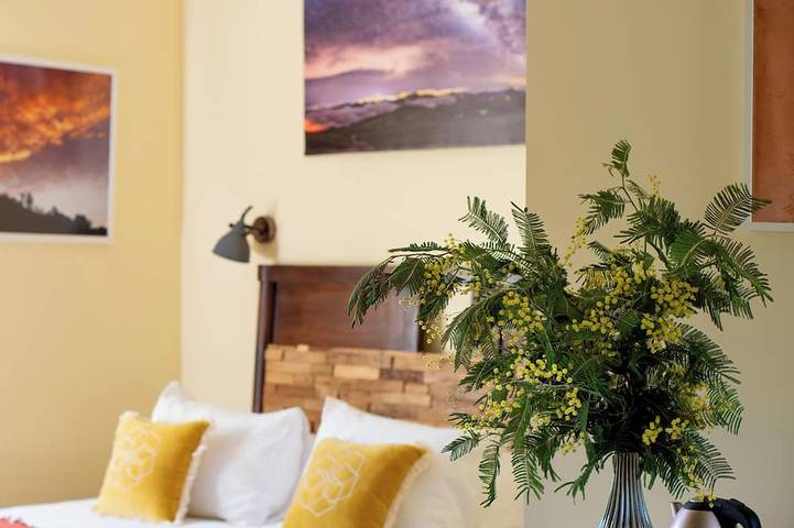 Chambre d’hôte pour 20 personnes à Saint-Jean-du-Gard - 3