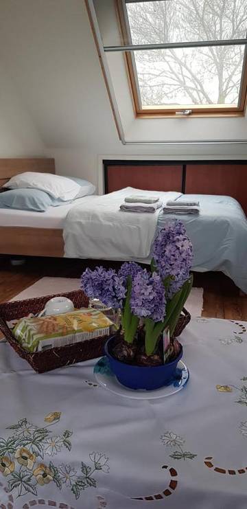 Maison d’hôte pour 2 personnes, avec jardin et vue dans Volendam