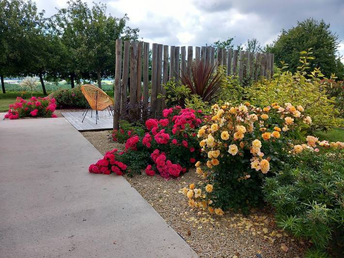 Gîte pour 4 personnes, avec terrasse et jardin, animaux acceptés en Cotes-d'Armor - 4