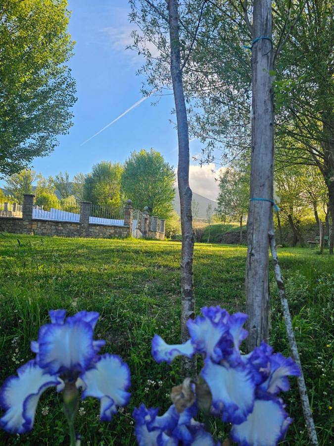 Casa rural para 2 personas, con Balcón y Terraza además de Jardín y Vistas en Matallana de Torío - 2