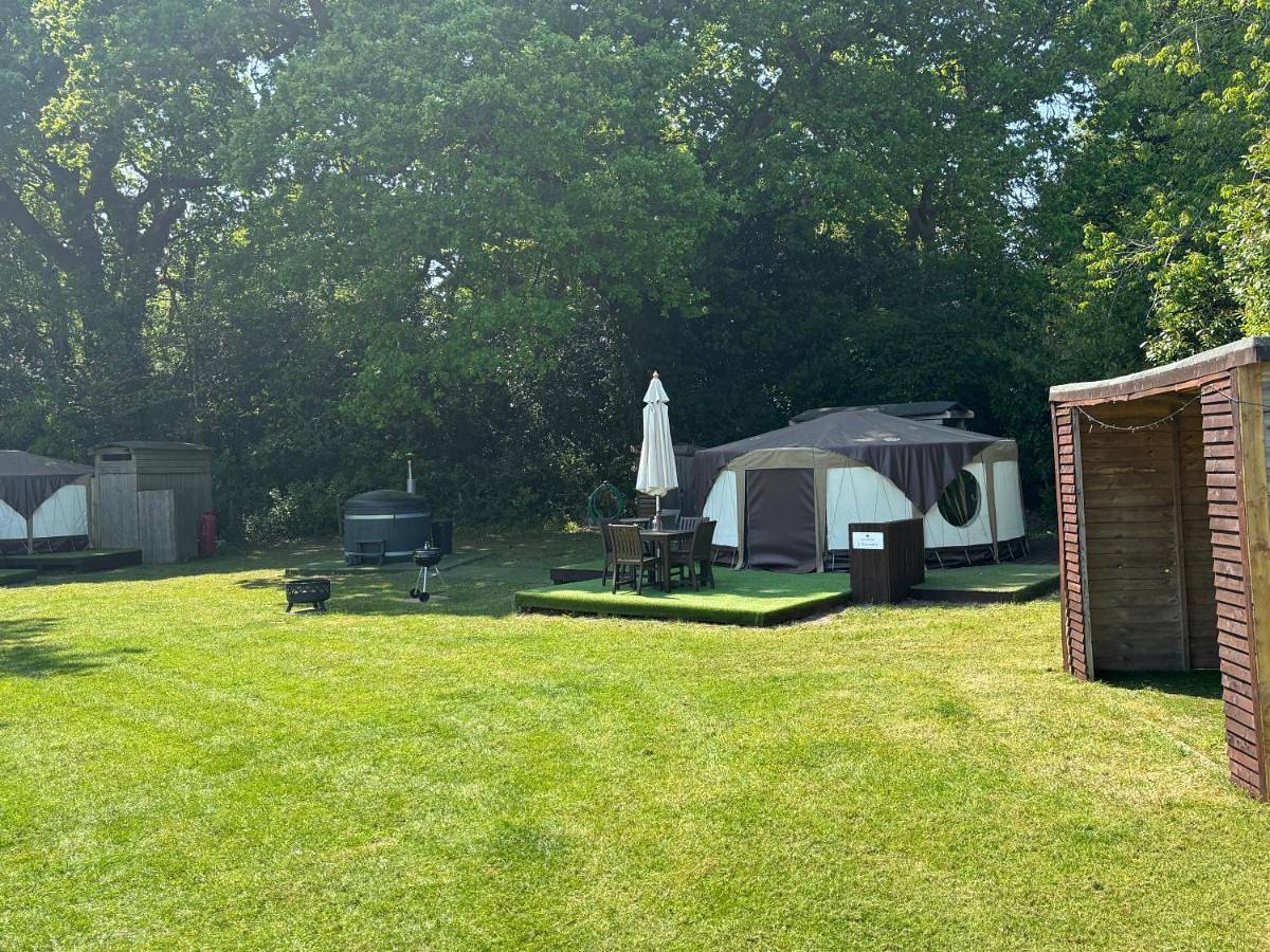 Yurt in Havant, South Downs
