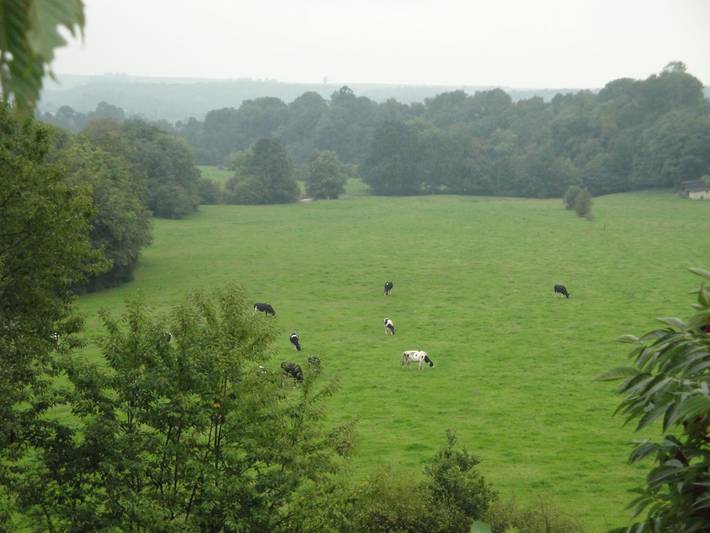 Gîte pour 5 personnes, avec jardin, animaux acceptés dans les Ardennes - 3