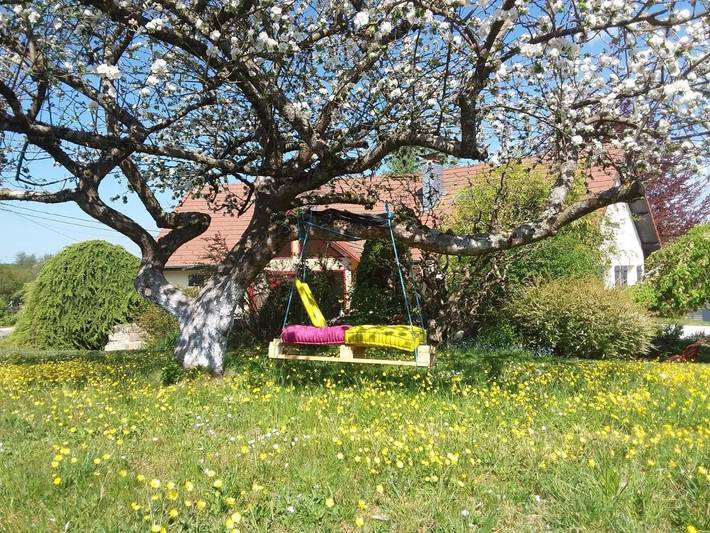 Chambre d’hôte pour 5 personnes, avec piscine et jardin, animaux acceptés dans Territoire de Belfort - 3