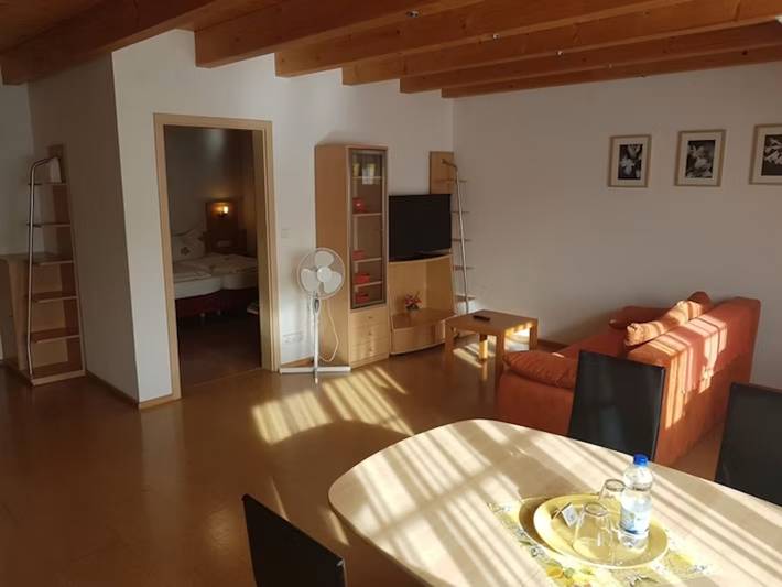 Hotel für 4 Personen, mit Balkon/Terrasse und Whirlpool sowie Sauna in Schopfheim - 4