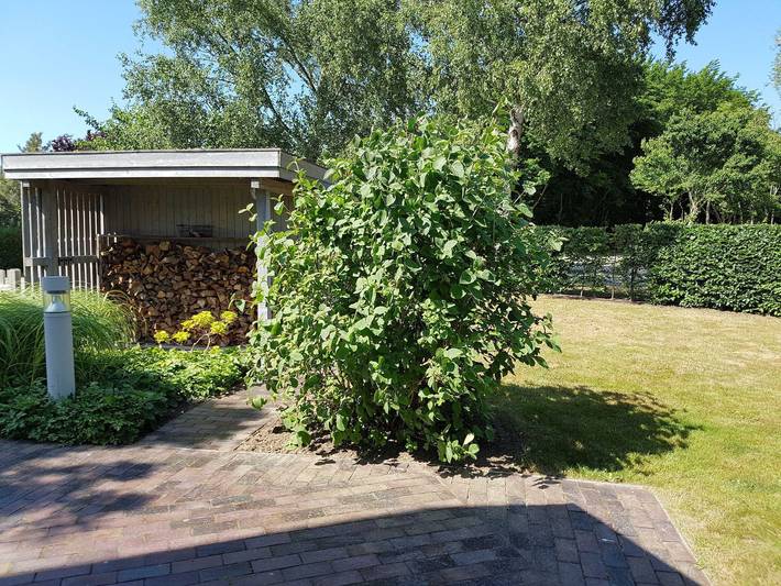 Ferienhaus für 4 Personen, mit Terrasse und Garten, kinderfreundlich in Börgerende-Rethwisch - 3