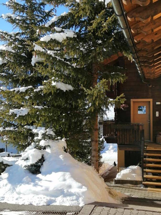 Chalet Freita in Livigno, Veltlin