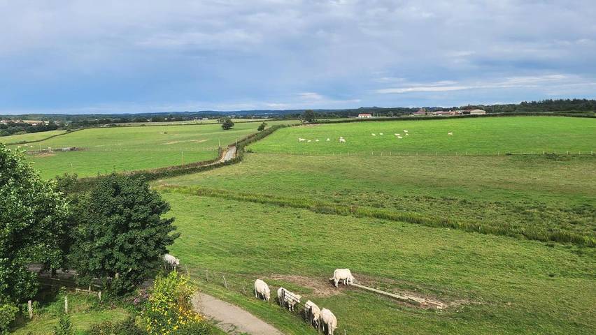 Location de vacances pour 6 personnes, avec piscine et vue ainsi que terrasse et jardin à Saint-Aubin-en-Charollais - 2