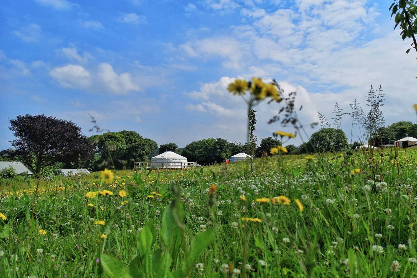 Glamping for 6 People in Cornwall, South West England