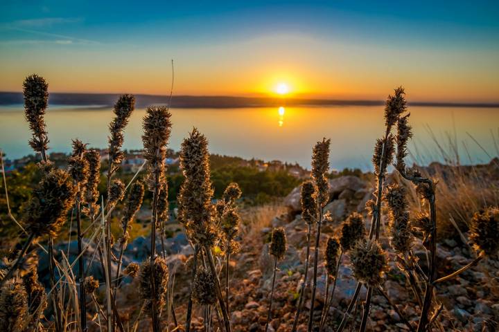 Apartamento entero, Apartamento de vacaciones para 4 personas con balcón in Starigrad Paklenica, Starigrad